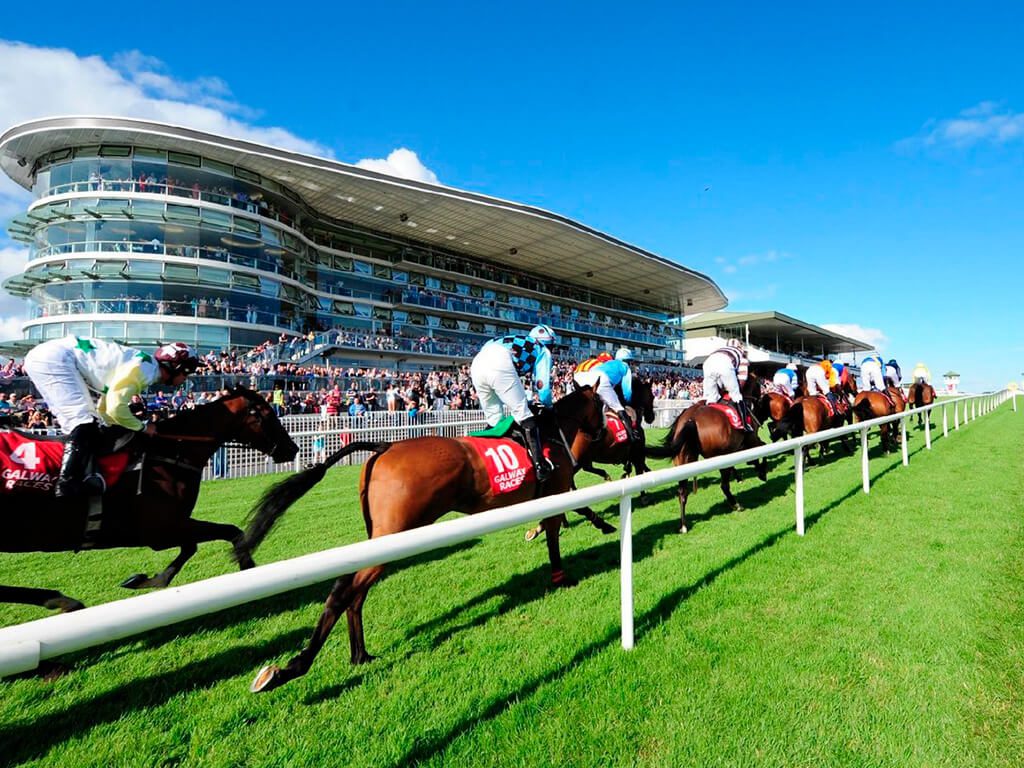 Galway Races October Racing Festival 2024 horse race meeting 🏇